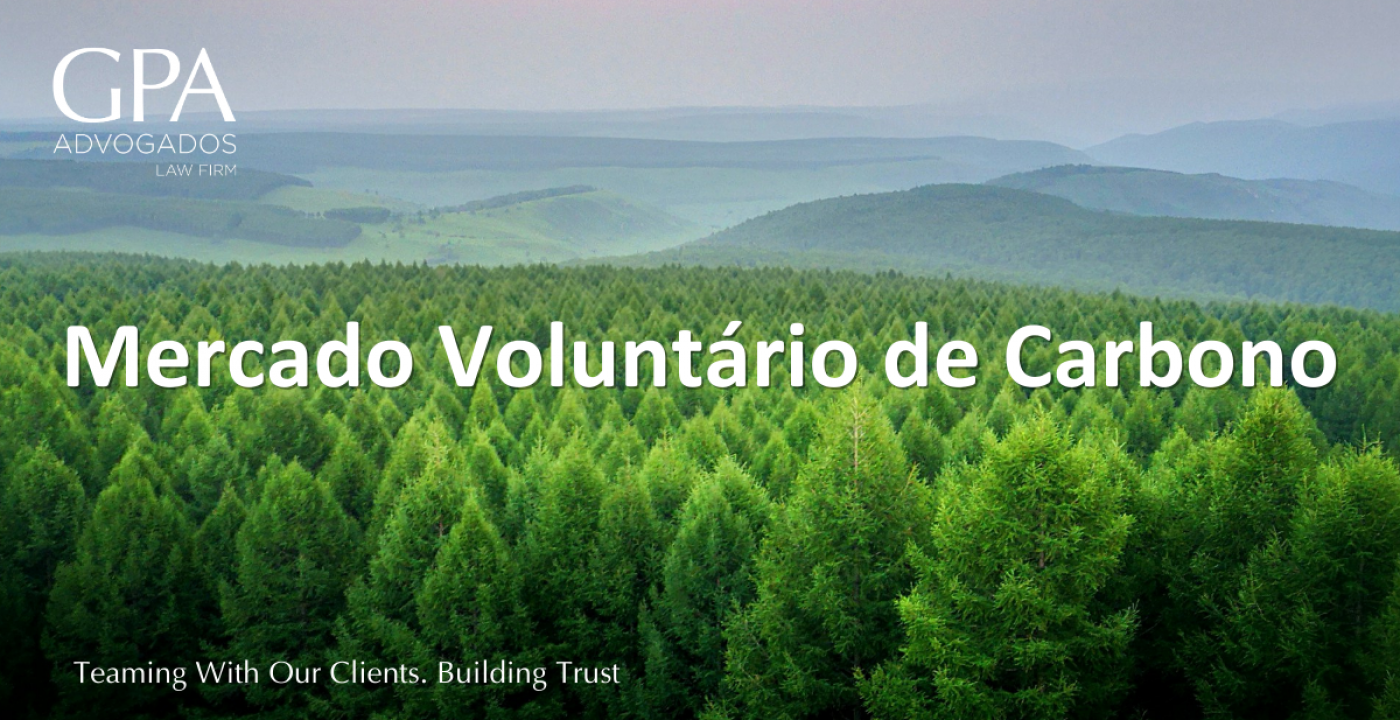Voluntary Carbon Market: a step in the development of carbon methodologies